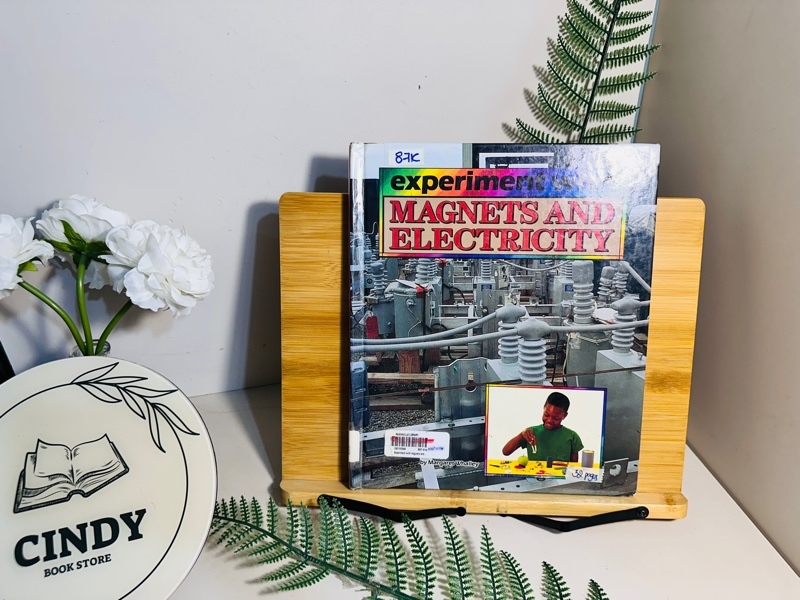 Experiment With Magnets And Electricity