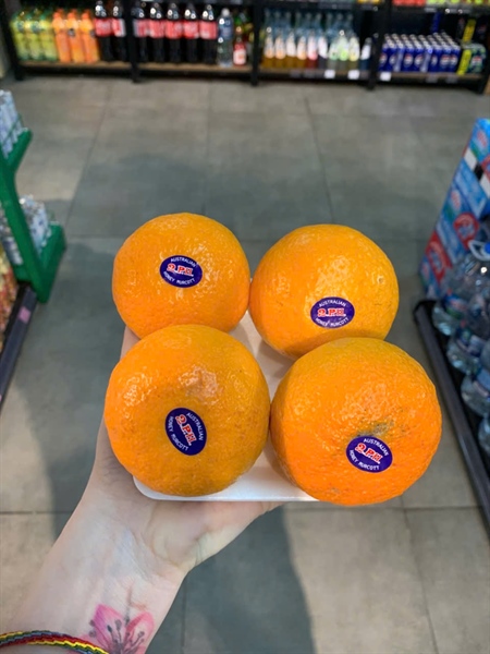 Quýt Úc gold - Tangerine