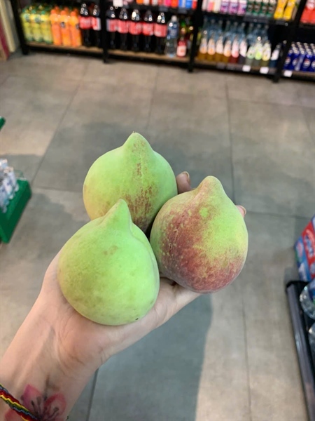 Đào mỏ quạ - Peach