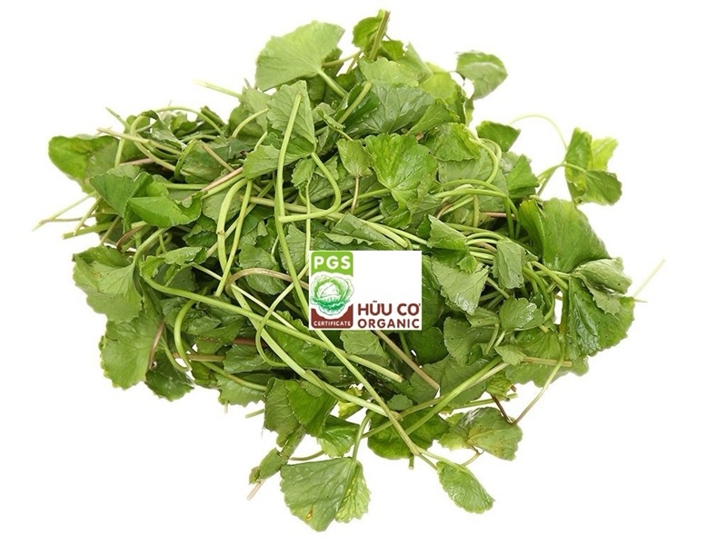 Rau má hữu cơ