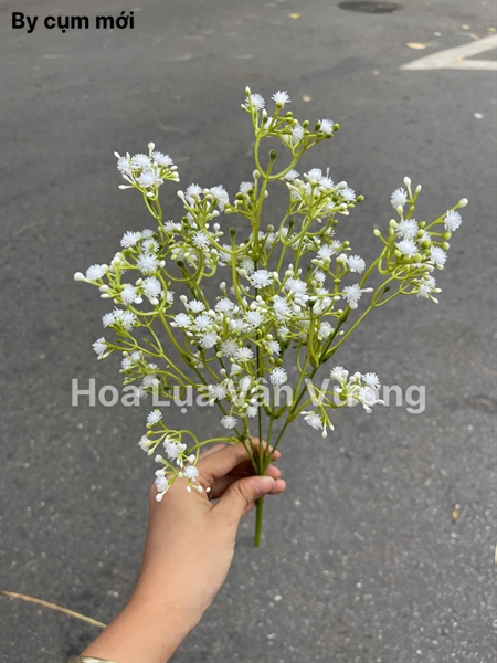 By cụm mới - Hoa cành ngắn - Hoa Lụa Vân Vượng