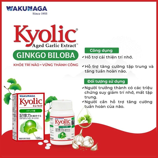 Kyolic Ginkgo Biloba - Hỗ trợ cải thiện trí nhớ, tăng cường tập trung và tuần hoàn não (Lọ 120 viên) 2