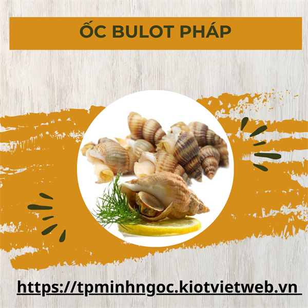Ốc Bulot 10/20