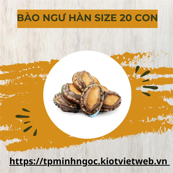Bào ngư Hàn size 20
