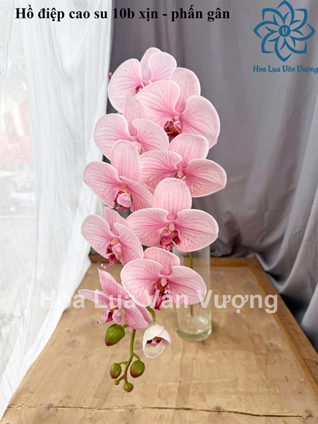 Hồ điệp cao su 10b xịn - phấn gân - Hồ điệp, lan - Hoa Lụa Vân Vượng