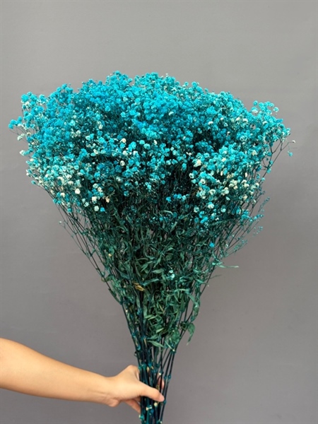 Hoa Baby vĩnh cửu - Bó 450g