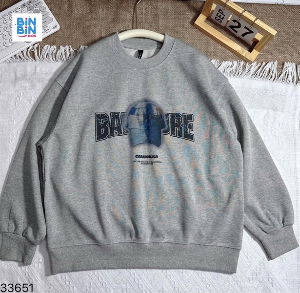 33651-Áo SWT xám in mũ