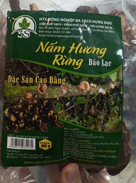 Nấm