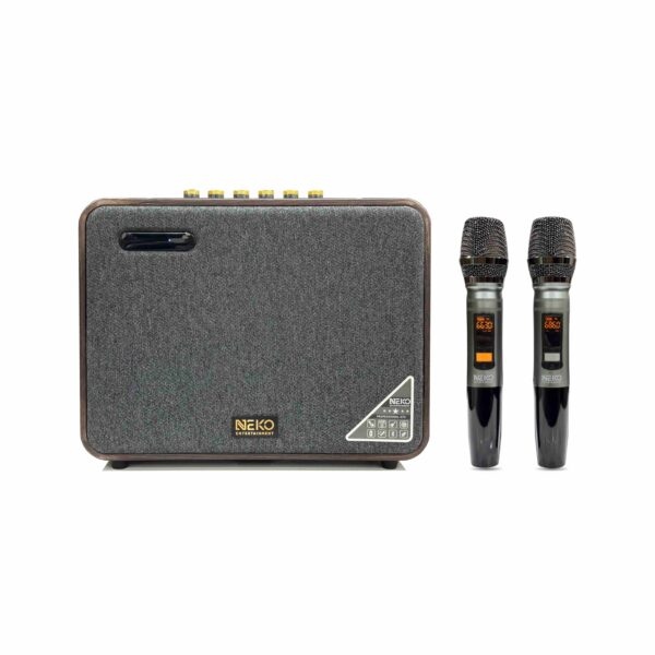 Loa xách tay Neko AMK 216