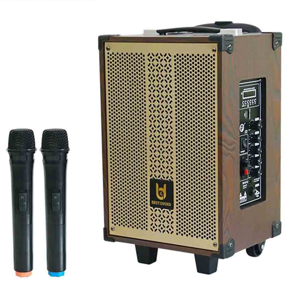 Loa kéo Bestsound BD9080Plus