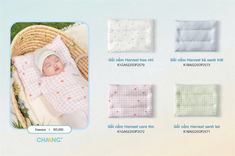Gối nằm Harvest kẻ xanh trời Chaang 25K1BA0225OP2573-FS