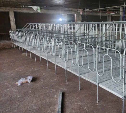 Chuồng hậu bị 2 vách+ đan+máng
