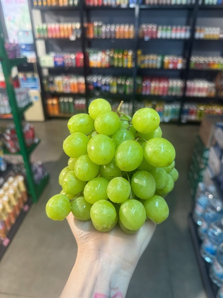 Nho xanh Mỹ - American green grapes
