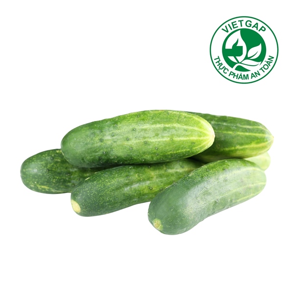 Dưa leo ta VietGAP (Vỉ 450-550 g)