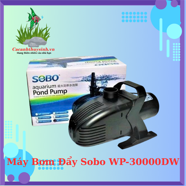 Máy MÁY BƠM ĐẨY SOBO WP-30000DW