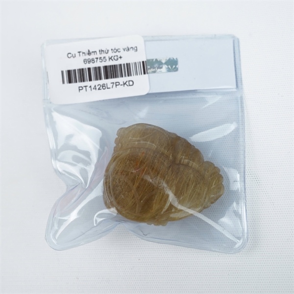 Cụ Thiềm thừ tóc vàng 698755 KG+