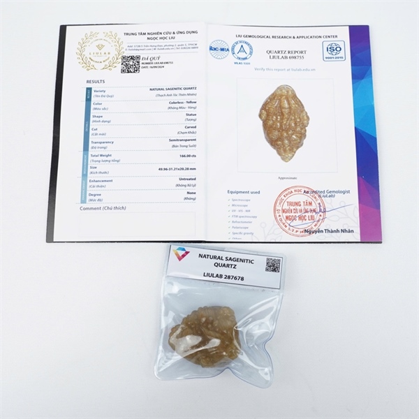 Cụ Thiềm thừ tóc vàng 698755 KG+