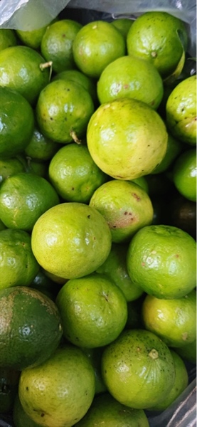 Chanh Vườn Thơm Có Hạt