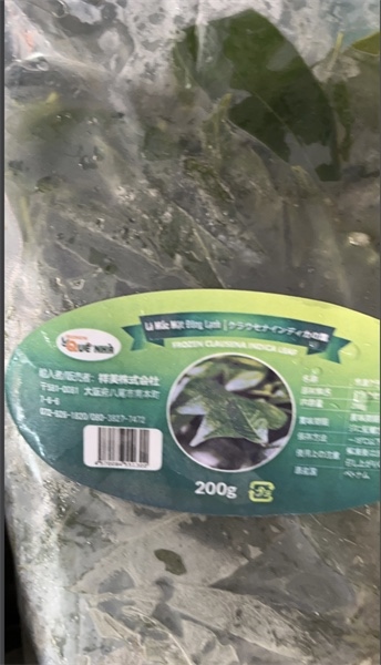 Lá mắc mật