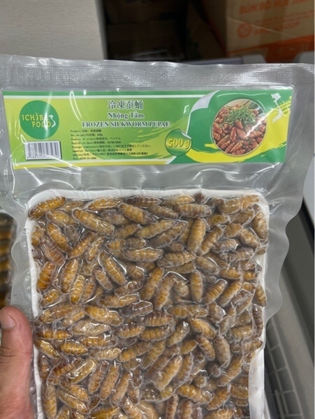 Nhộng tằm