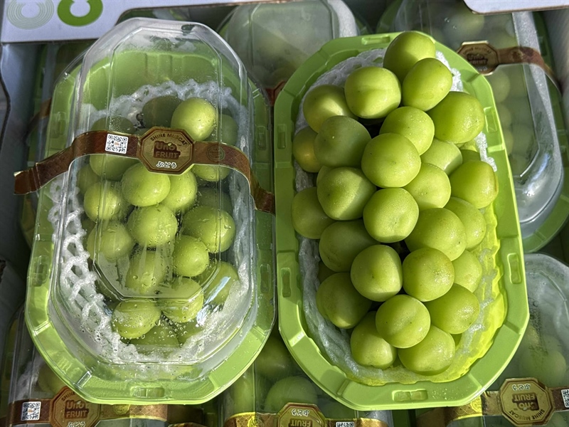 Nho Sữa Thuyền Uno