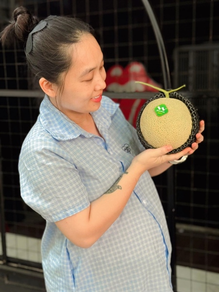 Dưa Lưới Melon Ruột Xanh