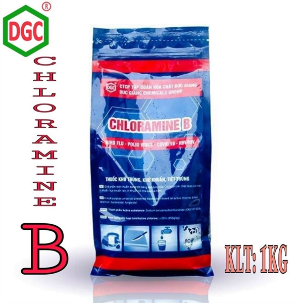 Chloramine B (Sodium Benzensulforchloramine > 25%) (K*14 Túi/Túi 1kg) - Đức Giang
