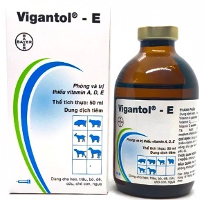 Vigatol E ade ngoại 50ml - bayer