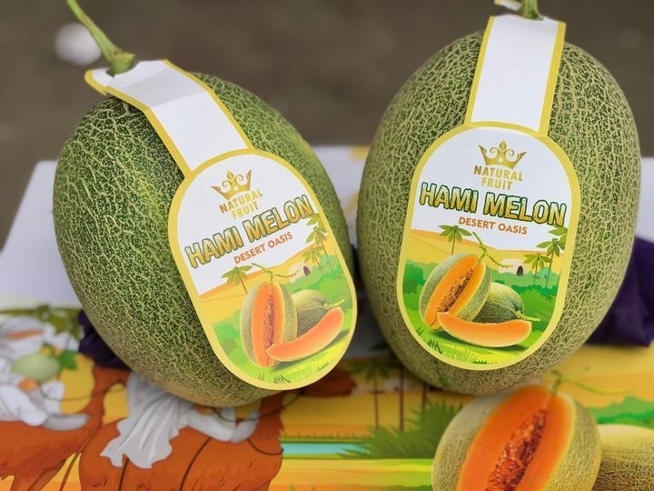 Dưa Lưới Đài Loan