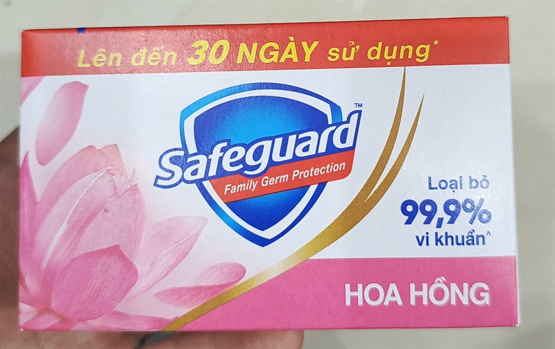 Safeguard