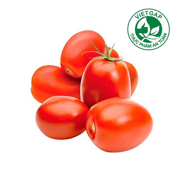 Cà chua trứng VietGAP (Vỉ 450-550 g)
