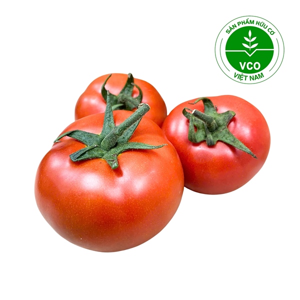 Cà chua Beef trung Hữu cơ (Vỉ 450-550 g)