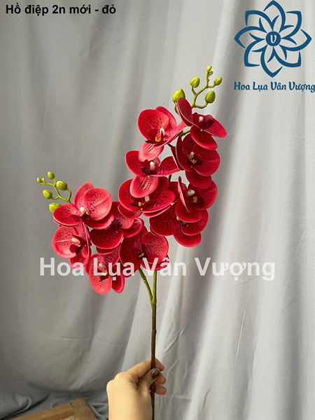 Hồ điệp 2n mới - đỏ - Hồ điệp, lan - Hoa Lụa Vân Vượng
