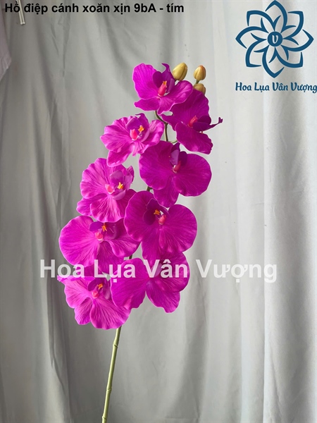 Hồ điệp cánh xoăn xịn 9b A - Tím - Hồ điệp, lan - Hoa Lụa Vân Vượng