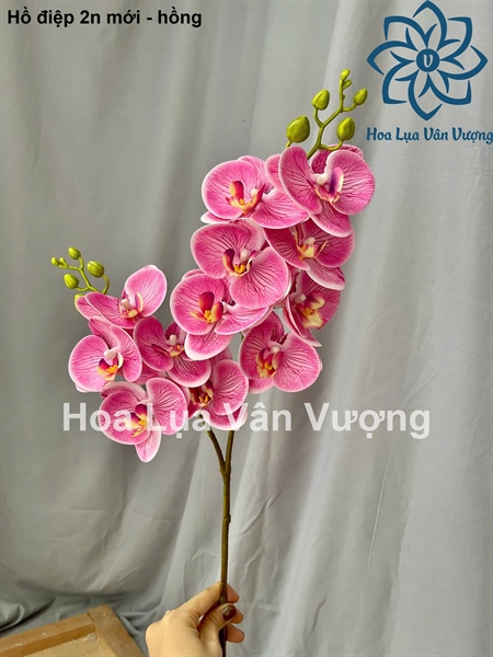 Hồ điệp 2n mới - hồng - Hồ điệp, lan - Hoa Lụa Vân Vượng
