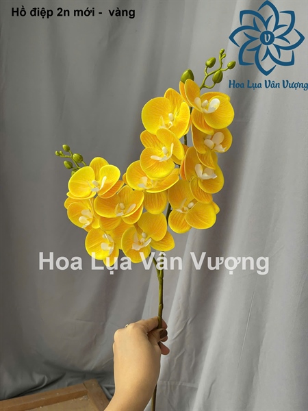Hồ điệp 2n mới - vàng - Hồ điệp, lan - Hoa Lụa Vân Vượng