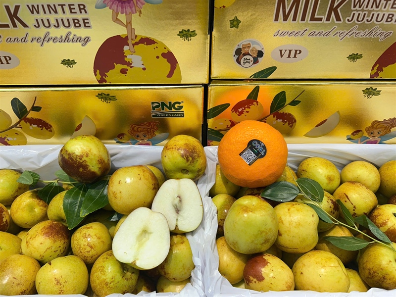 Táo Tàu Thùng VIP