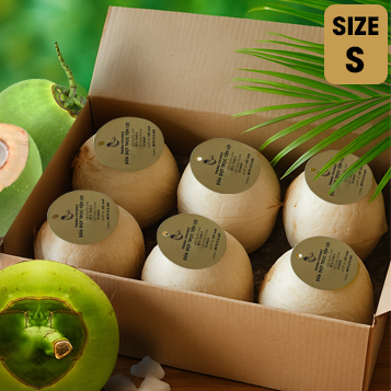Thùng Dừa 6Trái Size S