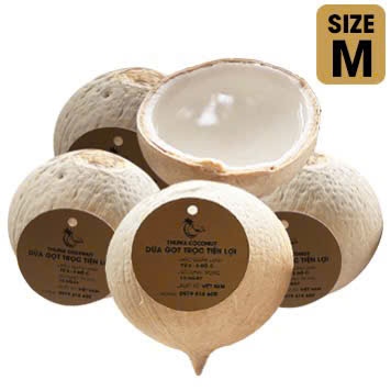 Túi 5 Trái Dừa Size M