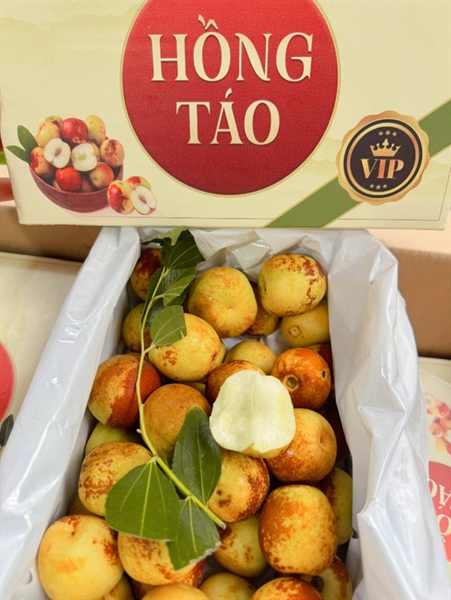 Hồng Táo Sữa 1A