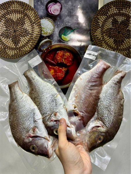 CÁ GÁY làm sạch, rửa sạch