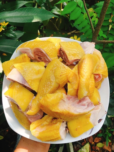 Gà ủ muối M