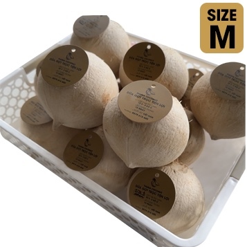 Túi 10 Trái Size M