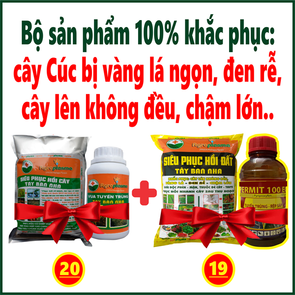 Combo 4 SP trị Tuyến trùng - Rết siêu nhân, Kích rễ cực mạnh - kéo cây lên đều