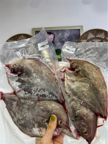 CÁ CHIM ĐEN làm sạch, rửa sạch