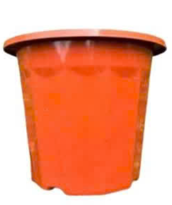 CHẬU NHỰA E