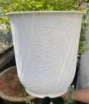 CHẬU NHỰA BOM CAO TRẮNG