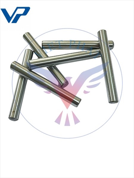 Ty định vị - Việt Phát