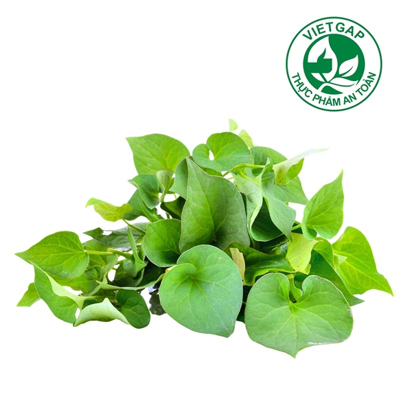 Diếp cá VietGAP (Gói 100 g)