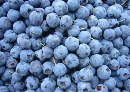 ARO Frozen Fruit - Blueberry 1kg ( Việt Quất ĐL )